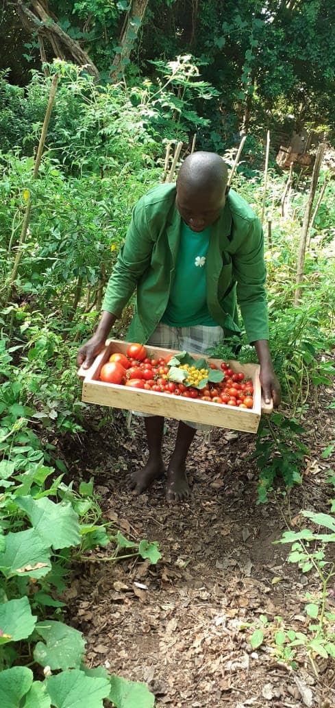 Lenox with fresh organic tomatoes at Nettle Regenerative Farm