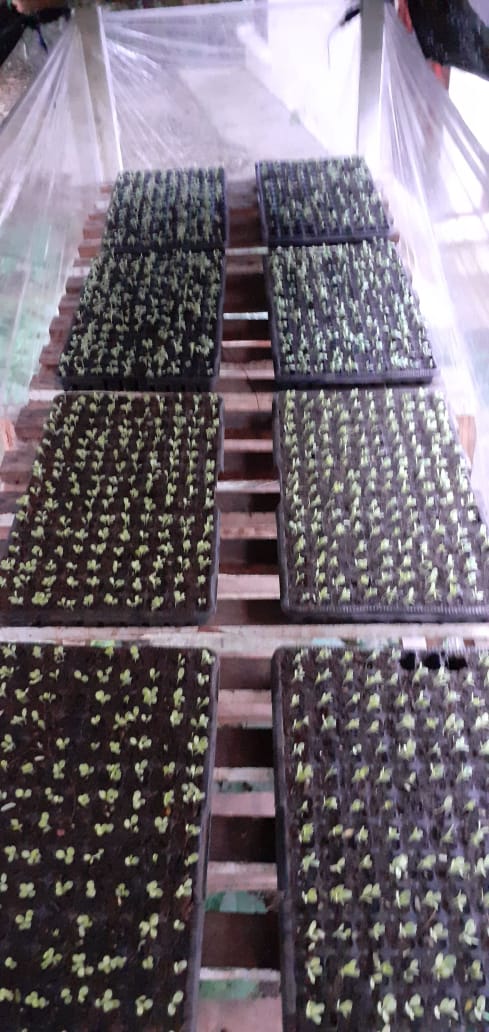 WhatsApp Image 2025-10-19 at 20.04.01_01f09cab