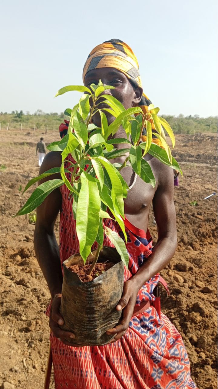 WhatsApp Image 2025-10-19 at 20.29.55_fb805045