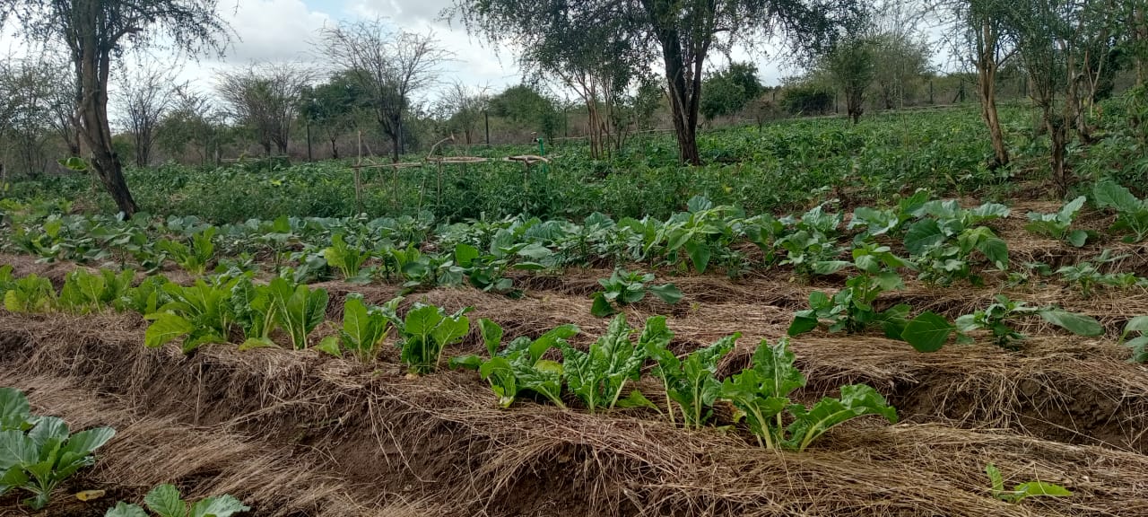 WhatsApp Image 2025-10-19 at 20.52.09_6074022c