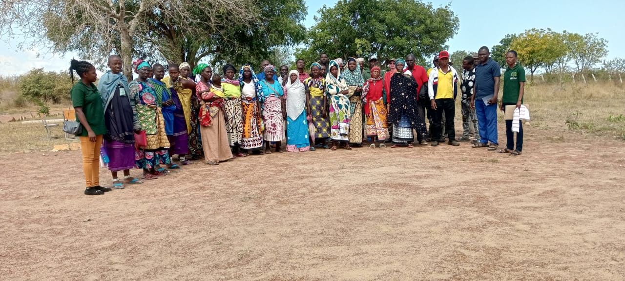 WhatsApp Image 2025-10-21 at 16.49.32_61f7cfff