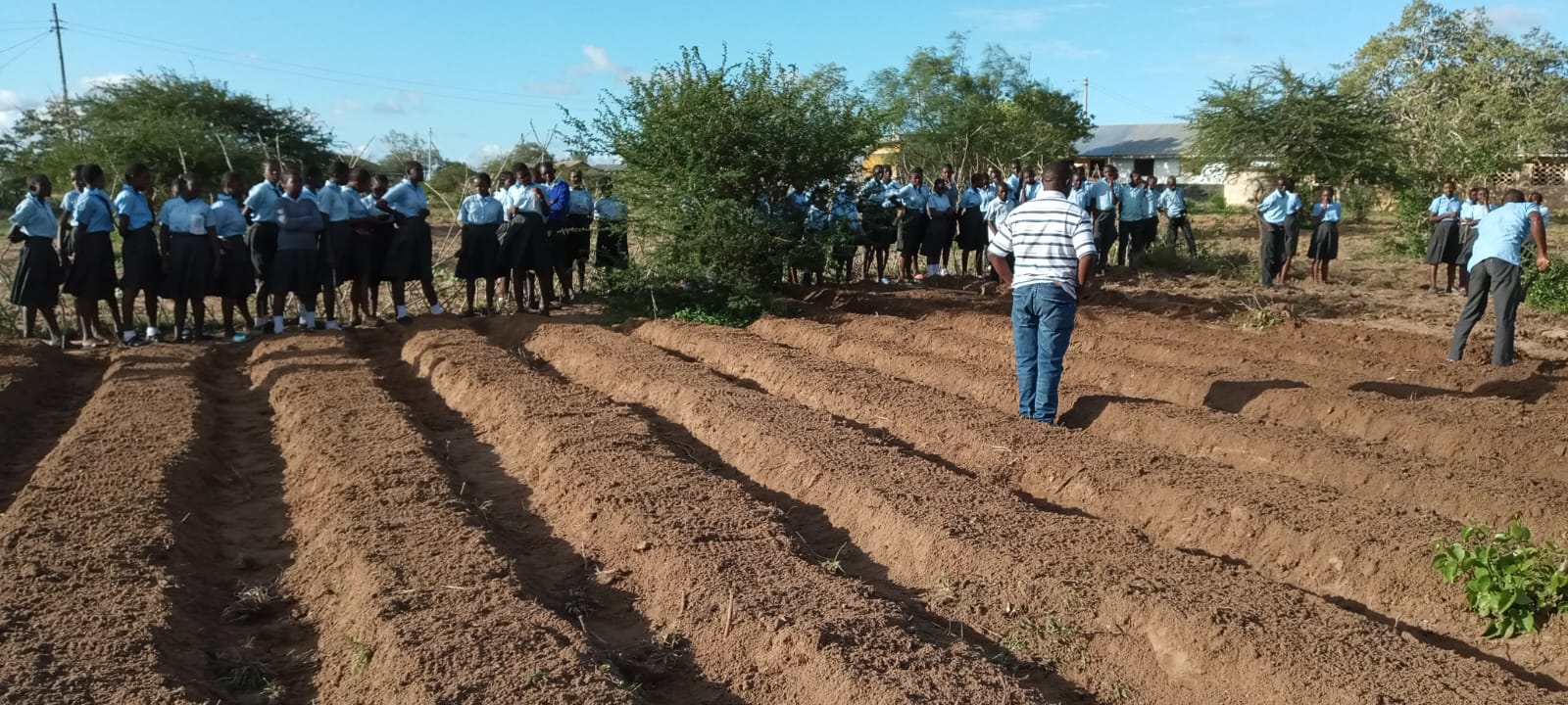 WhatsApp Image 2025-10-24 at 17.32.44_807ae78f