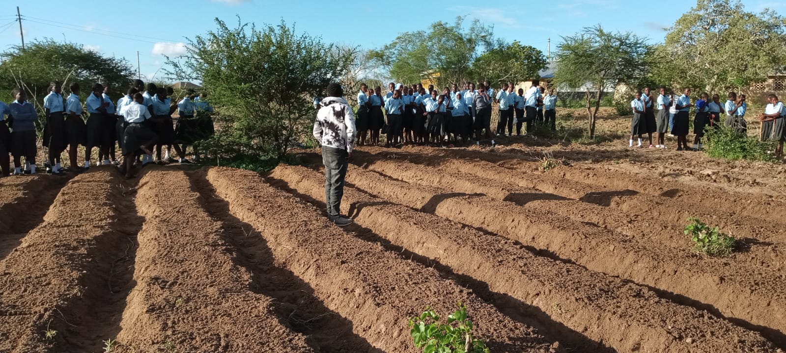 WhatsApp Image 2025-10-24 at 17.33.53_6928a080